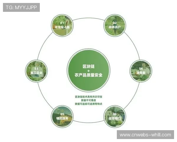 体系建设期内全流程可追溯机制建立 强化了体育传播服务在版权端的保护